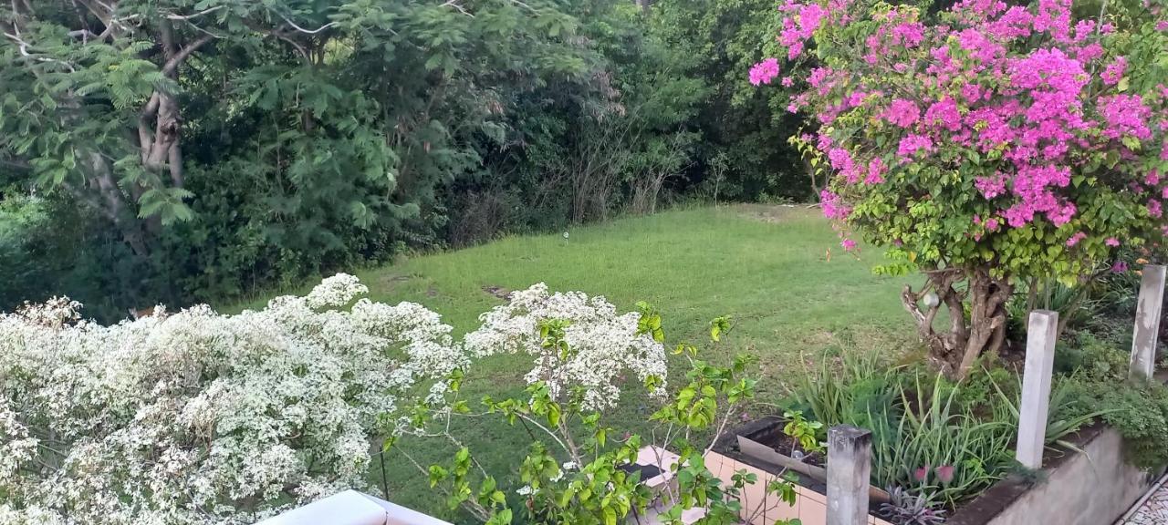 Chez Josette Villa Поант-Ноар Екстериор снимка